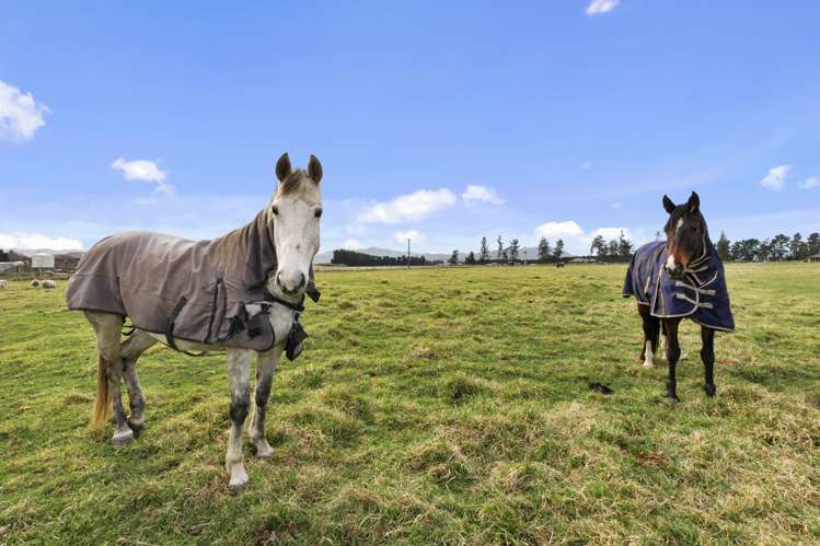 258 Foothills Road Okuku_5