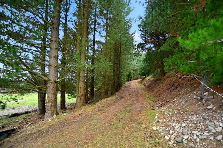 115 Smarts Road Loburn_9