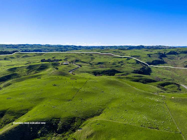 767 Te Akau Coast Road Te Akau_14