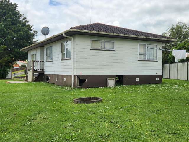 61 Whitmore Street Kihikihi_1