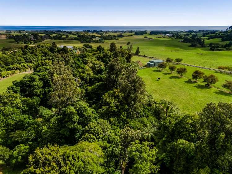 Weld Road Upper Oakura_5