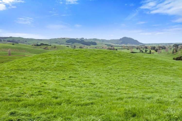 500 Tahuroa Road Tauwhare_32