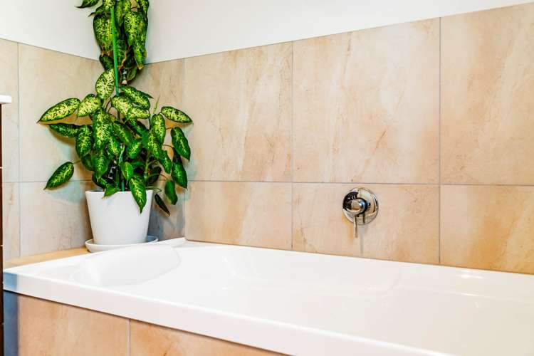 23 Terrasini Drive Flat Bush_37