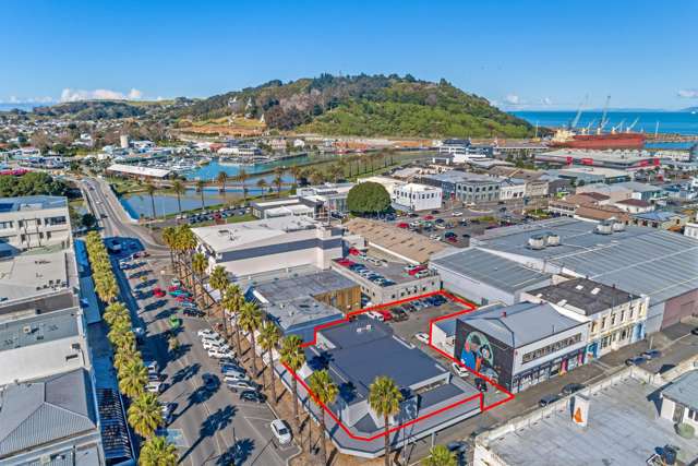 36 Gladstone Road Gisborne_1