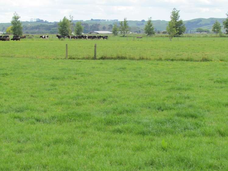 354 Access Road Ruawai_25