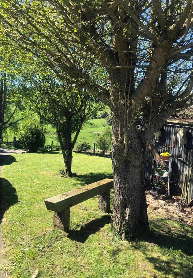 492 Echolands Road Taumarunui_12