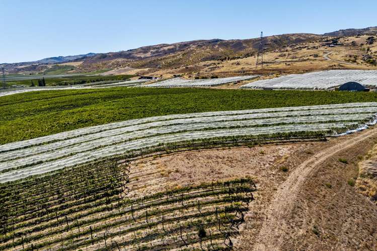 98c Paterson Road Nevis_7