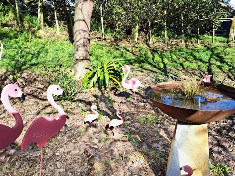 233 Hokio Sand Road Hokio Beach_18