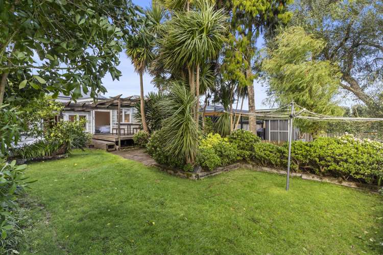 101 John Street Ponsonby_24