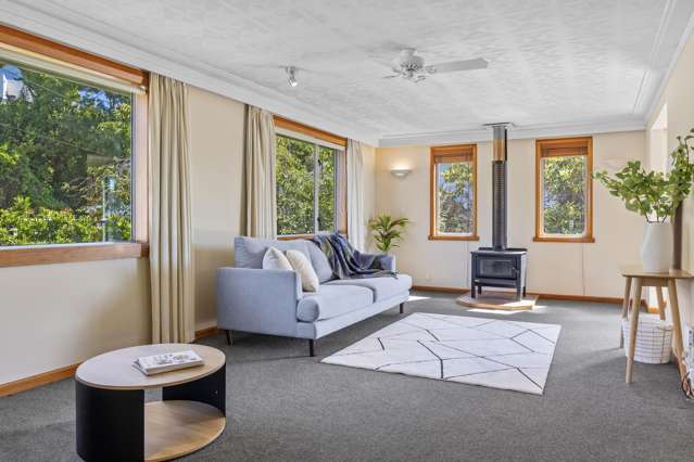 24 Pollock Street Maori Hill_2