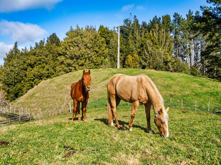 1095 Taumata Road Omanawa_40
