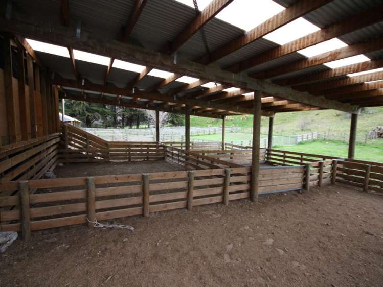 528 Ram Paddock Road Broomfield_6