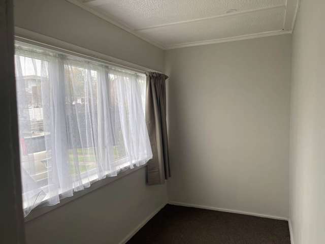 14 Linwood Avenue Mt Albert_1