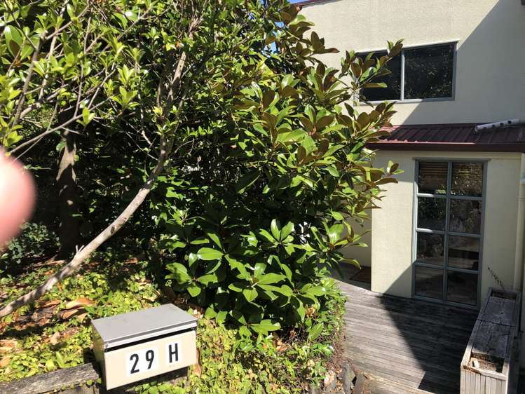 29h Saint Stephens Avenue Parnell_16