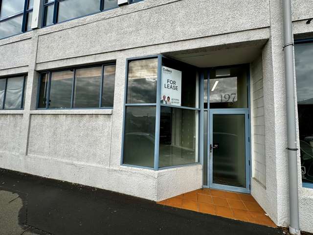 197 Hanover Street Dunedin Central_1