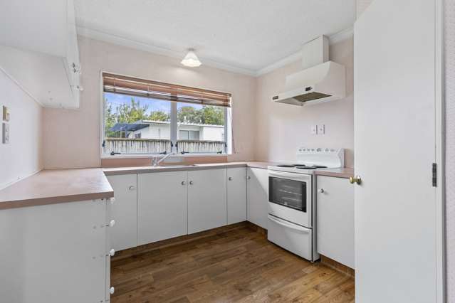 98c Naylor Street Hamilton East_4