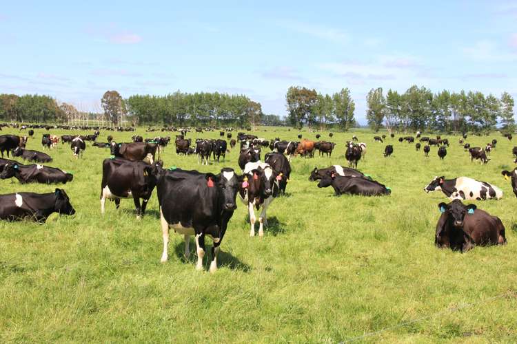 82 Pike Road Winton Surrounds_17