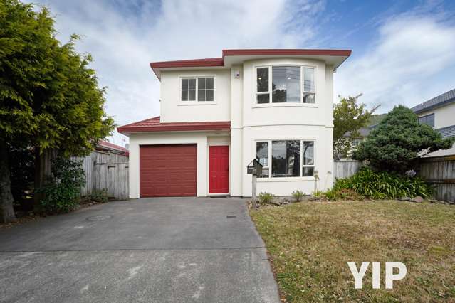 17 Sim Street Johnsonville_1