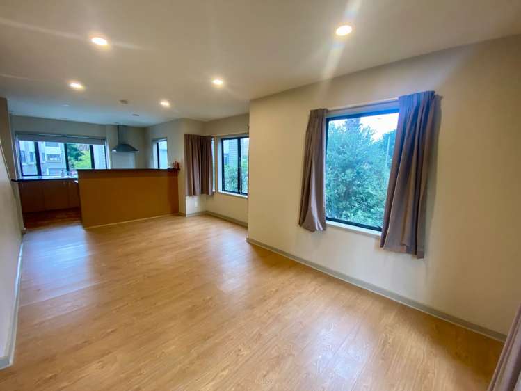 36 Dovedale Place Parnell_7