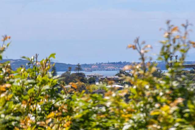 1/4 Acacia Road Torbay_2