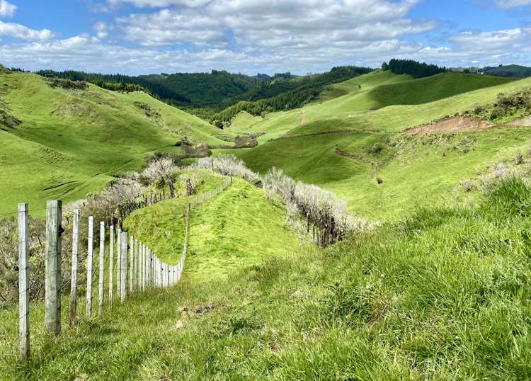 419 Motukawa Road Tarata_7