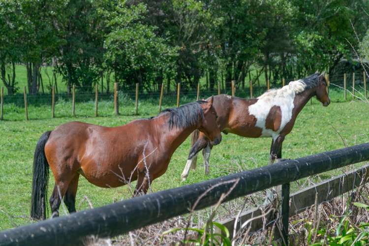 121 North Manakau Road Manakau_18