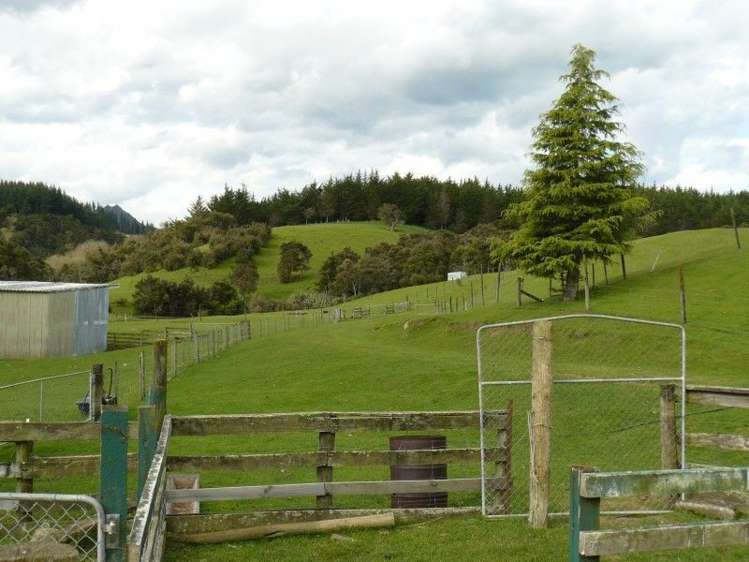 1098 Glenross Road Waiwhare_5