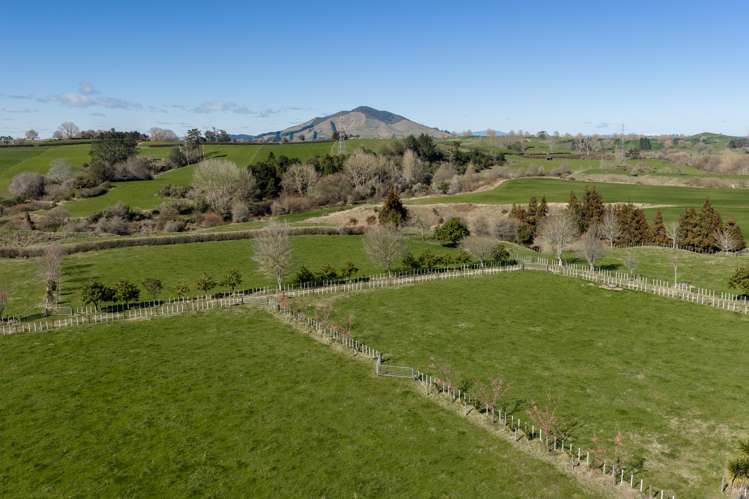 101 Ormsby Road Pirongia_6