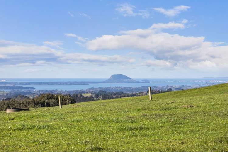 994 Work Road Whakamarama_18