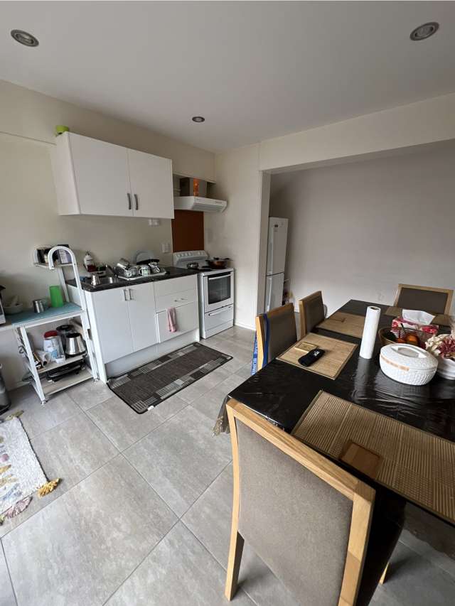 3A Katavich Place Mount Roskill_2