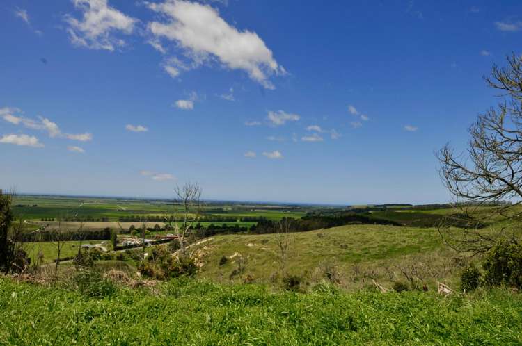 Lot 1 Gaudion Road, Peebles Oamaru_8