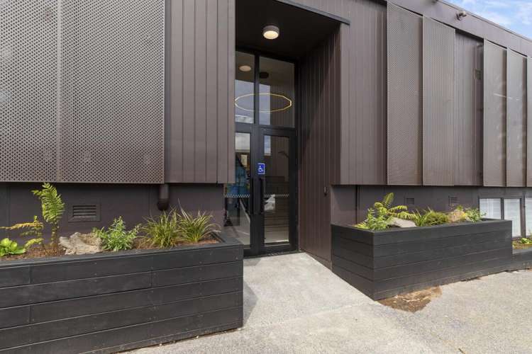 7 Rose Road Grey Lynn_15