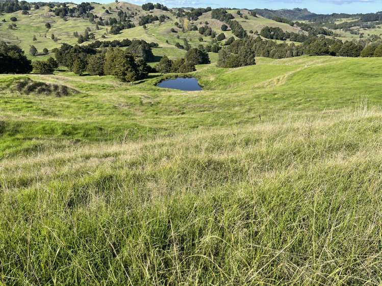 203 Otuhi Road Mangapai and Surrounds_11