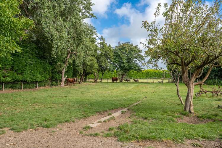 286 Bay Road West Plains_38