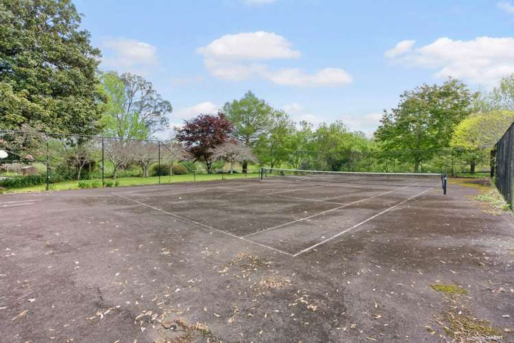 133 Ara-Kotinga Whitford_9