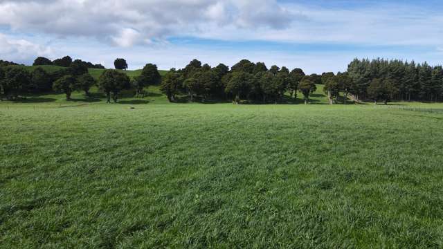 227 Whenuahou Road Norsewood_3