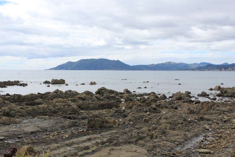 65 Orete Point Road Waihau Bay_17