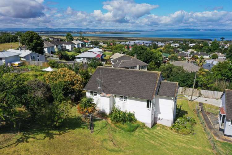 814 Mount Pleasant Road Thames_2