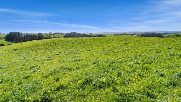 2A Ropata Street Hawera_5