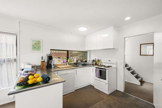 57 Rintoul Street Newtown_3