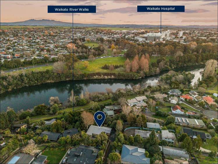 17 Macfarlane Street Hamilton East_4