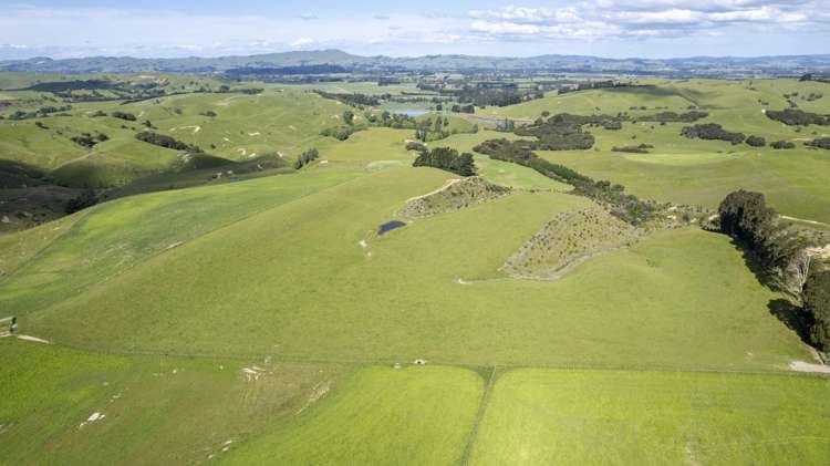 188 Burnetts Road Kaituna_10