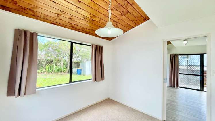 33B Nile Road Milford_9