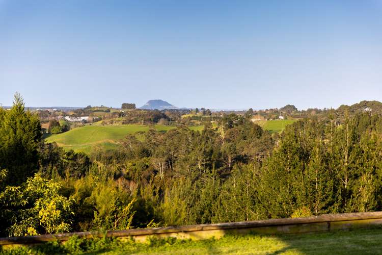 325F Esdaile Road Whakamarama_31