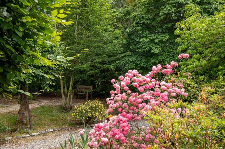 12 Clutha Road Ettrick_19