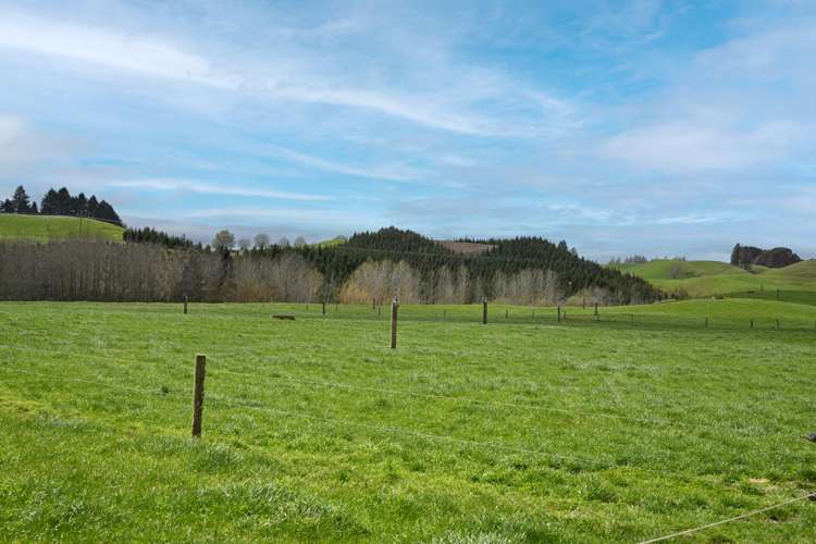 100 Rawhiti Road Reporoa_23
