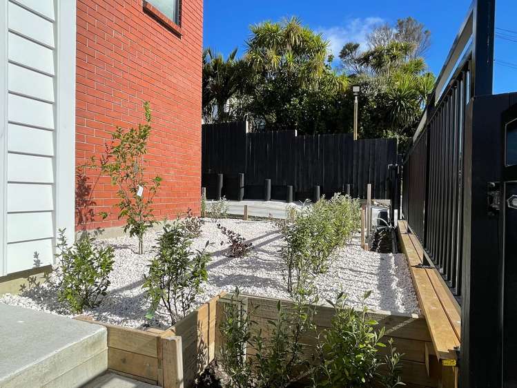 20b Roberton Road Avondale_4