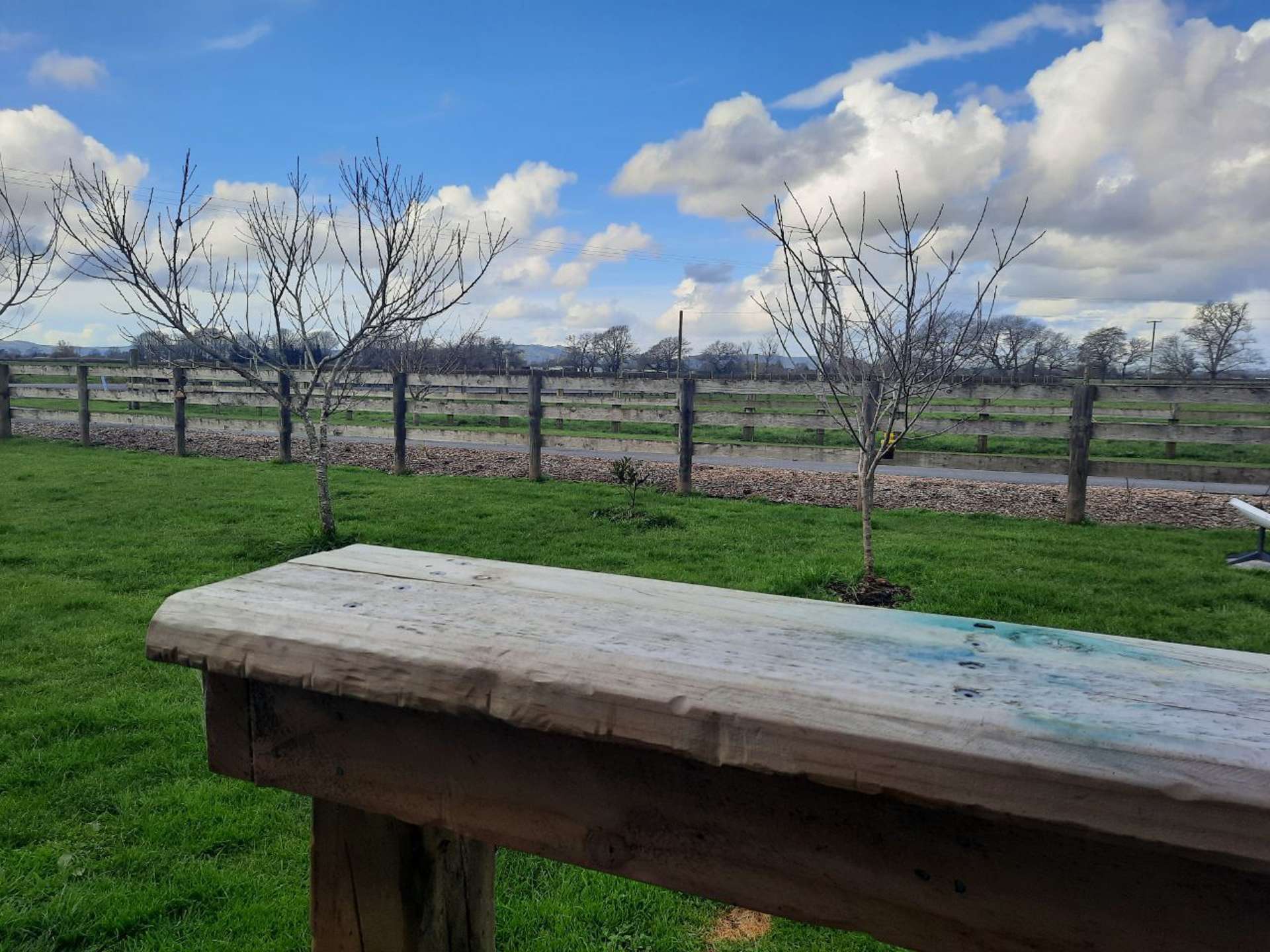 1/201 Settlement Road Cambridge_0