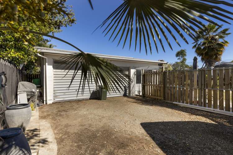 77 Inkerman Street Renwick_25