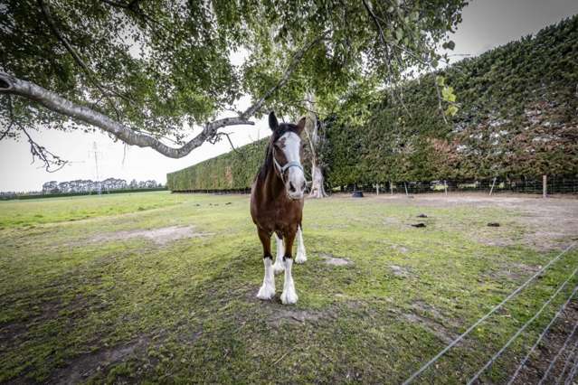 677 Woodstock Road Burnt Hill_2